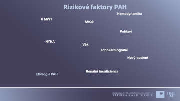 Rizikové faktory PAH